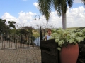 Michelle behind flower pot